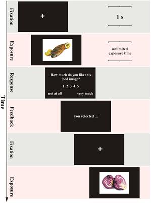 Evaluative Processing of Food Images: A Conditional Role for Viewing in Preference Formation